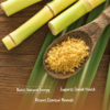 Sugarcane Sugar